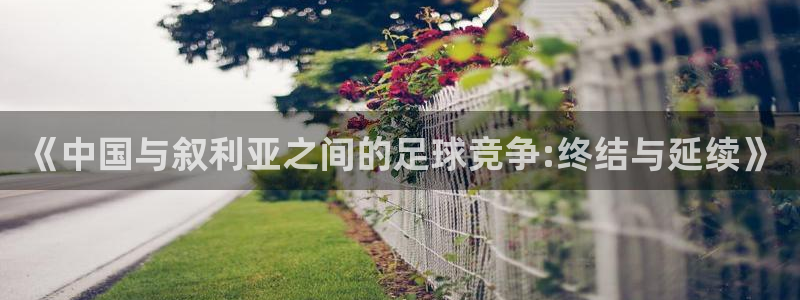 《中国与叙利亚之间的足球竞争:终结与