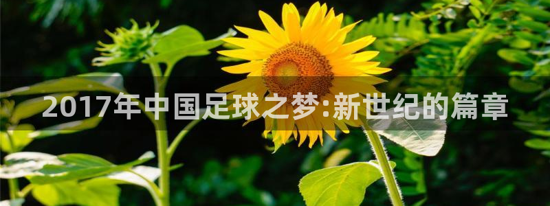  2017年中国足球之梦:新世纪的篇章