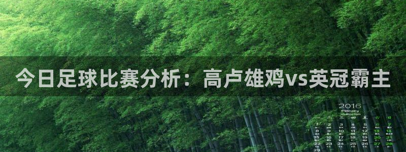  今日足球比赛分析：高卢雄鸡vs英冠霸主