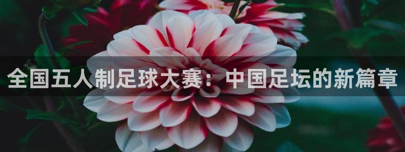  全国五人制足球大赛：中国足坛的新篇章
