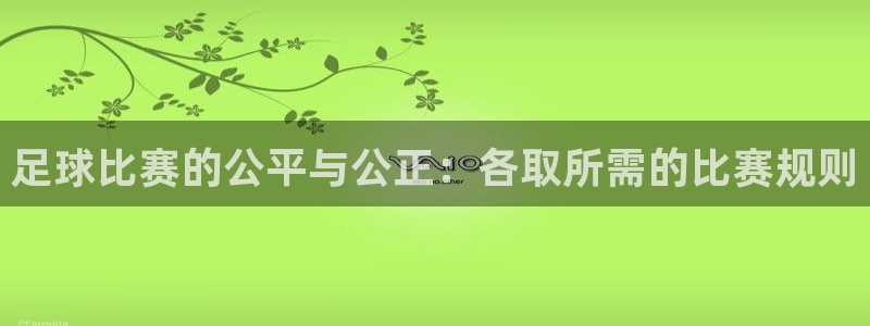  足球比赛的公平与公正：各取所需的比赛规则