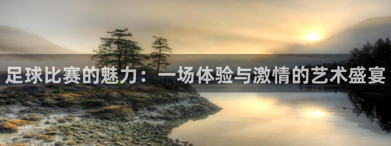足球比赛的魅力：一场体验与激情的艺术盛宴