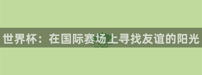 世界杯：在国际赛场上寻找友谊的阳光