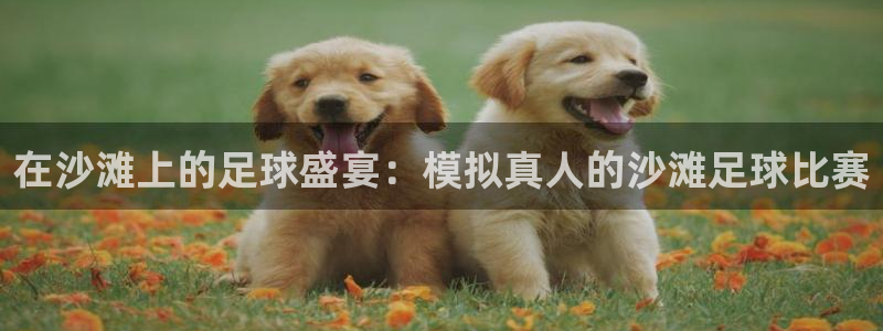在沙滩上的足球盛宴：模拟真人的沙滩足球比赛