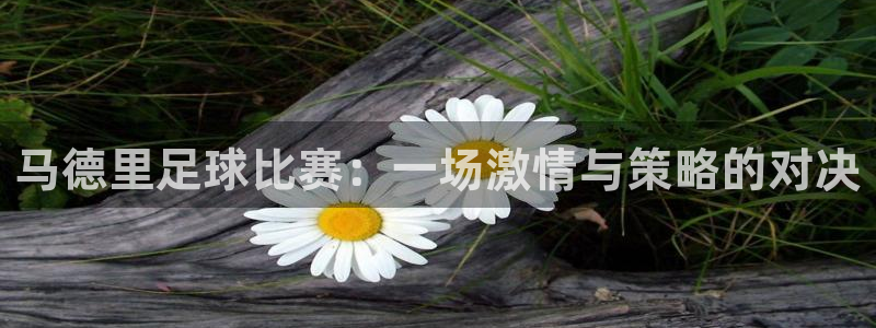马德里足球比赛：一场激情与策略的对决