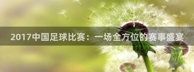 2017中国足球比赛：一场全方位的赛事盛宴
