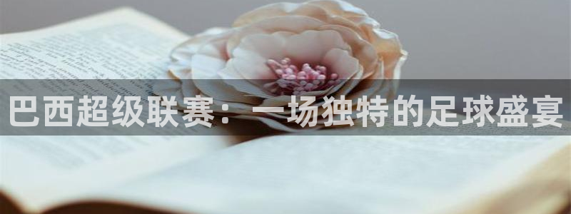 巴西超级联赛：一场独特的足球盛宴