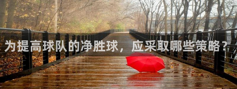 为提高球队的净胜球，应采取哪些策略？