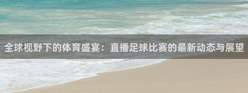  全球视野下的体育盛宴：直播足球比赛的最新动态与展望
