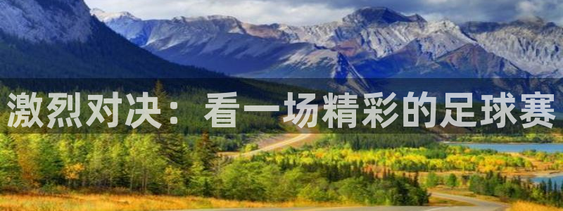  激烈对决：看一场精彩的足球赛