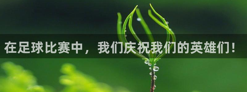  在足球比赛中，我们庆祝我们的英雄们！