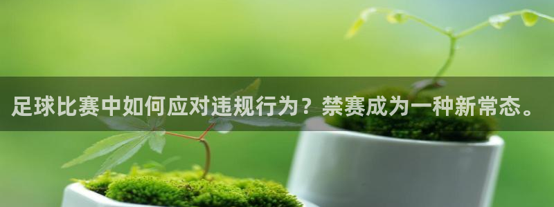 足球比赛中如何应对违规行为？禁赛成为一种新常态。