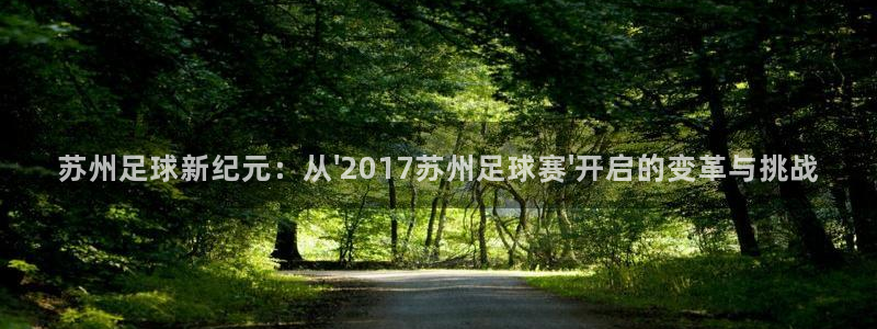 苏州足球新纪元：从\'2017苏州足球赛\'开启的变革与挑战