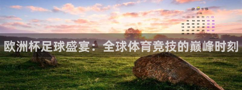  欧洲杯足球盛宴：全球体育竞技的巅峰时刻