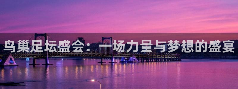  鸟巢足坛盛会：一场力量与梦想的盛宴