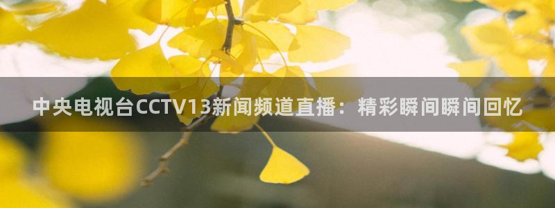 球友直播ios：中央电视台CCTV13新闻频道直播：精彩瞬间瞬间回忆
