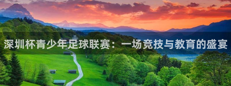 深圳杯青少年足球联赛：一场竞技与教育