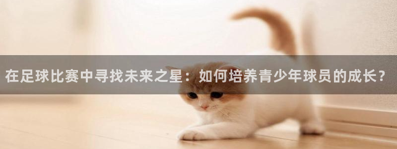 在足球比赛中寻找未来之星：如何培养青