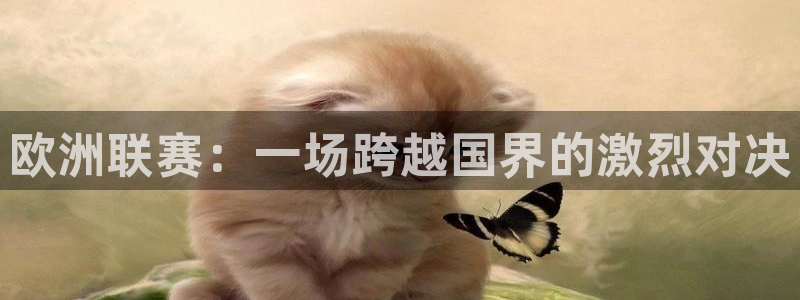 欧洲联赛：一场跨越国界的激烈对决