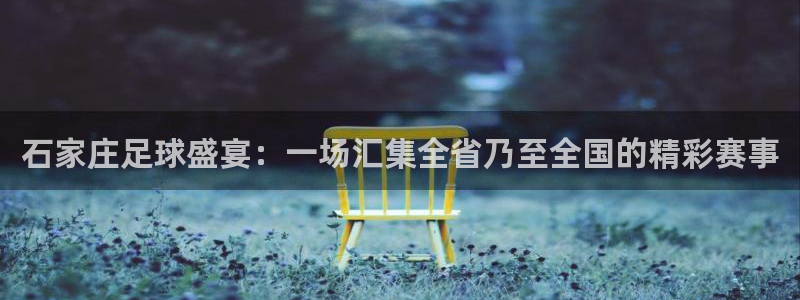 石家庄足球盛宴：一场汇集全省乃至全国