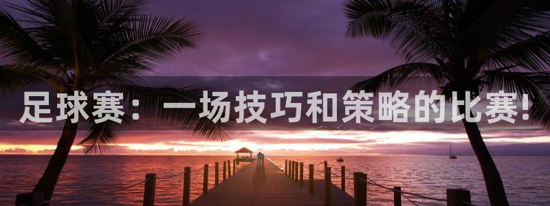足球赛：一场技巧和策略的比赛!