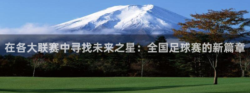在各大联赛中寻找未来之星：全国足球赛