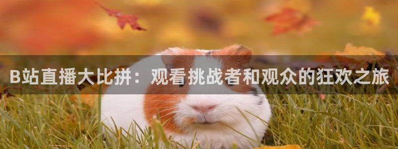 球友体育下载：B站直播大比拼：观看挑战者和观众的狂欢之旅