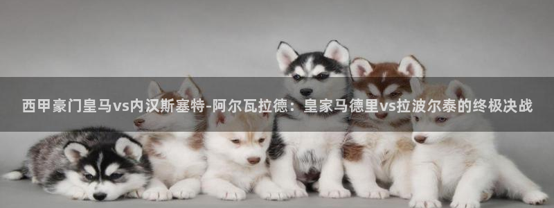 球友直播：西甲豪门皇马vs内汉斯塞特-阿尔瓦拉德：皇家马德里vs拉波尔泰的终极决战