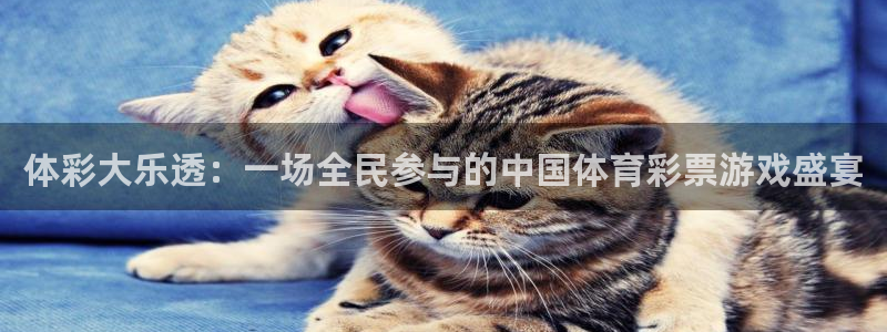 qy球友会体育网址：体彩大乐透：一场全民参与的中国体育彩票游戏盛宴