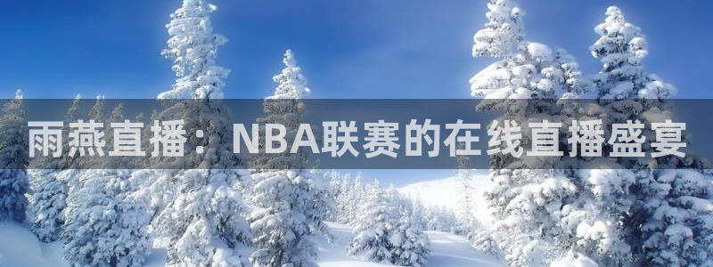 球友直播官网：雨燕直播：NBA联赛的在线直播盛宴