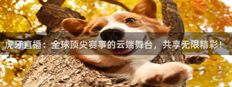 球友直播：虎牙直播：全球顶尖赛事的云端舞台，共享无限精彩！